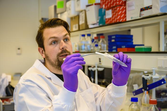 Researcher holding artificial regenerative blood vessel