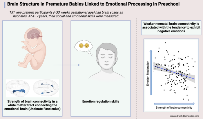 Brain Structure in Premature Babies Linked to Emotional Processing in Preschool