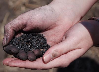 Going Carbon Negative