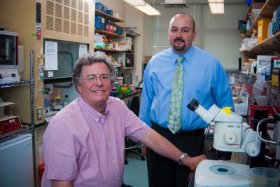 Thomas Look and Alejandro Gutierrez, Dana-Farber Cancer Institute