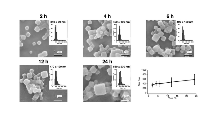 Monitoring particle growth of PhCs at different stages in the CFPC process