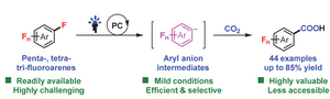 Light-driven process for synthesis of important polyfluoroaryl carboxylic acids with CO2