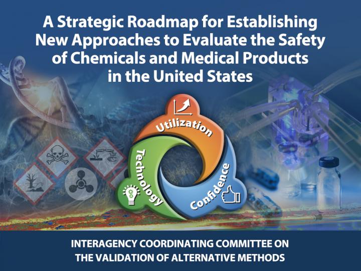 A Strategic Roadmap for Establishing New Approaches to Evaluate the Safety of Chemicals and Medical Products in the United States