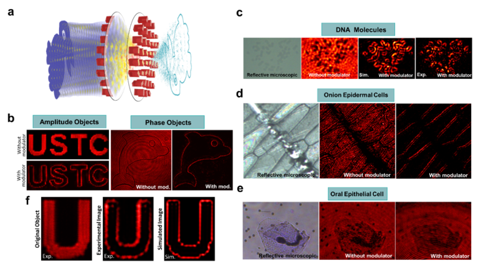 Characterizing the performance of meta-imager for convolution operation