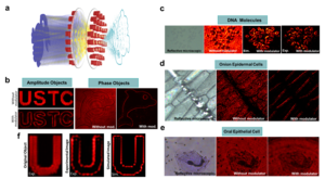 Characterizing the performance of meta-imager for convolution operation