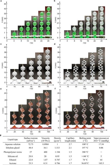 Universality of CPFs in different liquids.