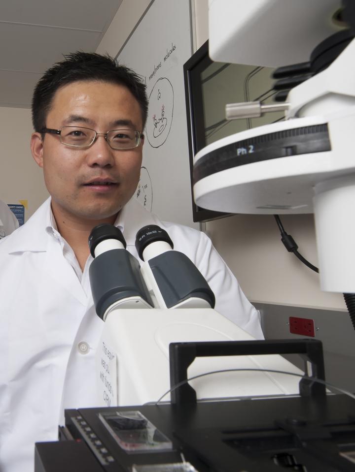 Weian Zhao, University of California - Irvine