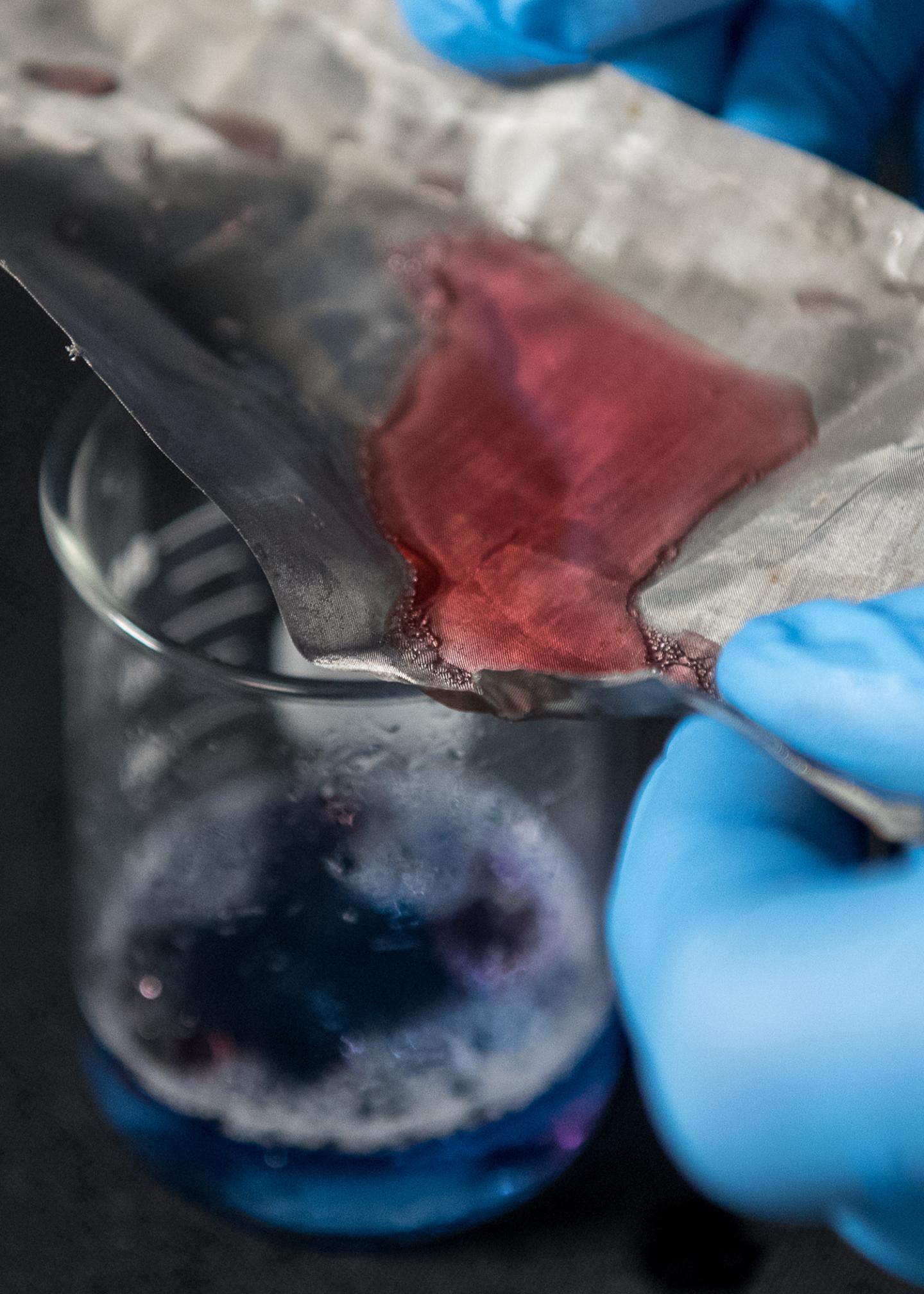 Mesh Separates Oil and Water (2 of 2)