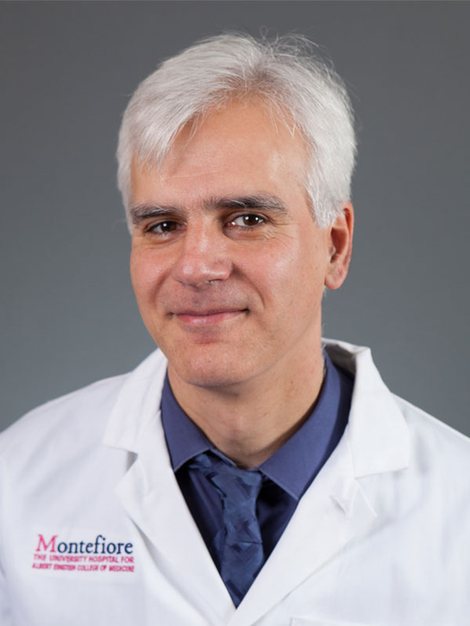 Balazs Halmos, M.D., M.S.