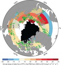 Primary Productivity and New Phytoplankton Blooms in the Arctic