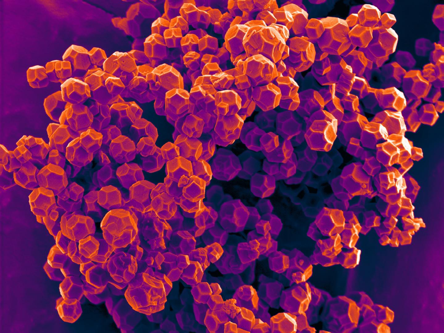 Crystalline Metal-Organic Framework