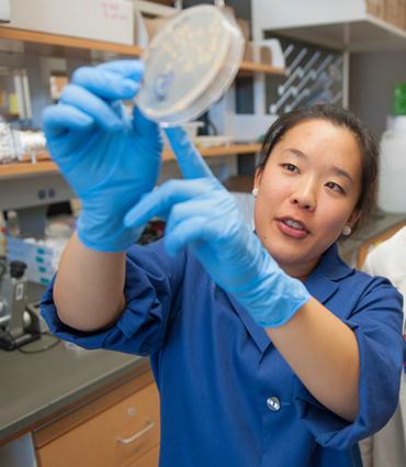 Jennifer Hayashi, University of Massachusetts at Amherst