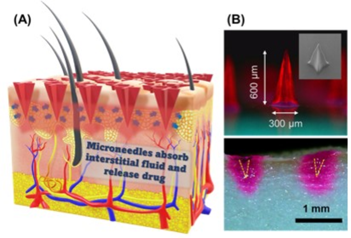 Figure 1. An efficient and painless method for administering protein-based drugs.