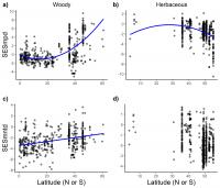 Effect of Latitude on Phylogenetic Diversity