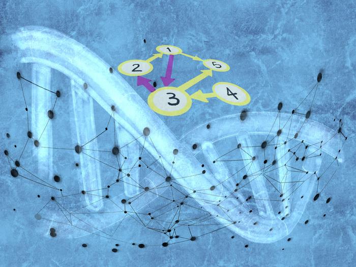 RENGE method and gene regulatory networks