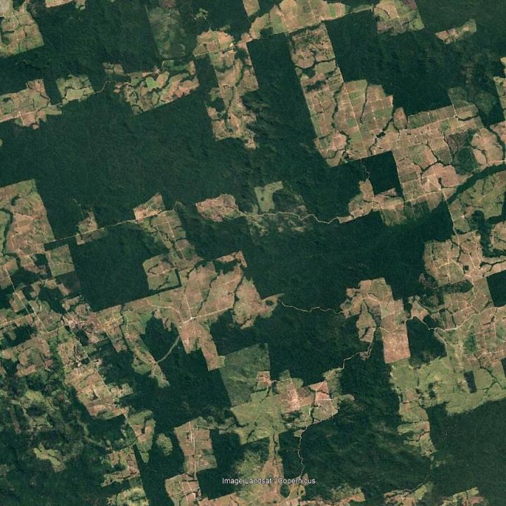 Brazilian Amazon Tropical Forest Area and Loss in 2000-2017