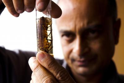 Sahotra Sarkar, University of Texas at Austin