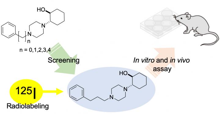 Figure: Outline of the Study