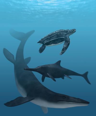 Leatherback Turtle, Mosasaur and Ichthyosaur