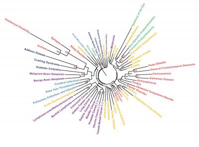 Disease Relationships