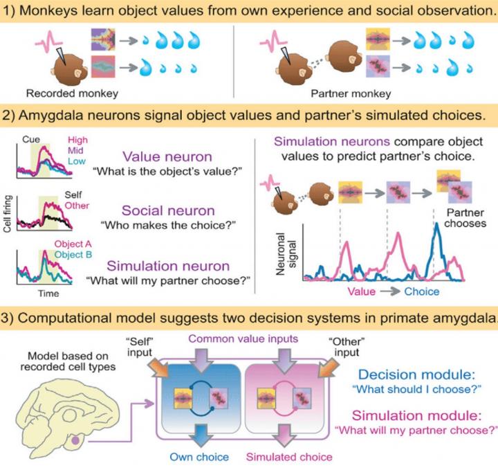 Esquema grÃ¡fico del experimento