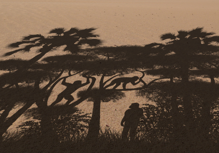 Representation of the modes of locomotion practiced by Sahelanthropus