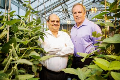 Kumar and Long, University of Illinois at Urbana-Champaign