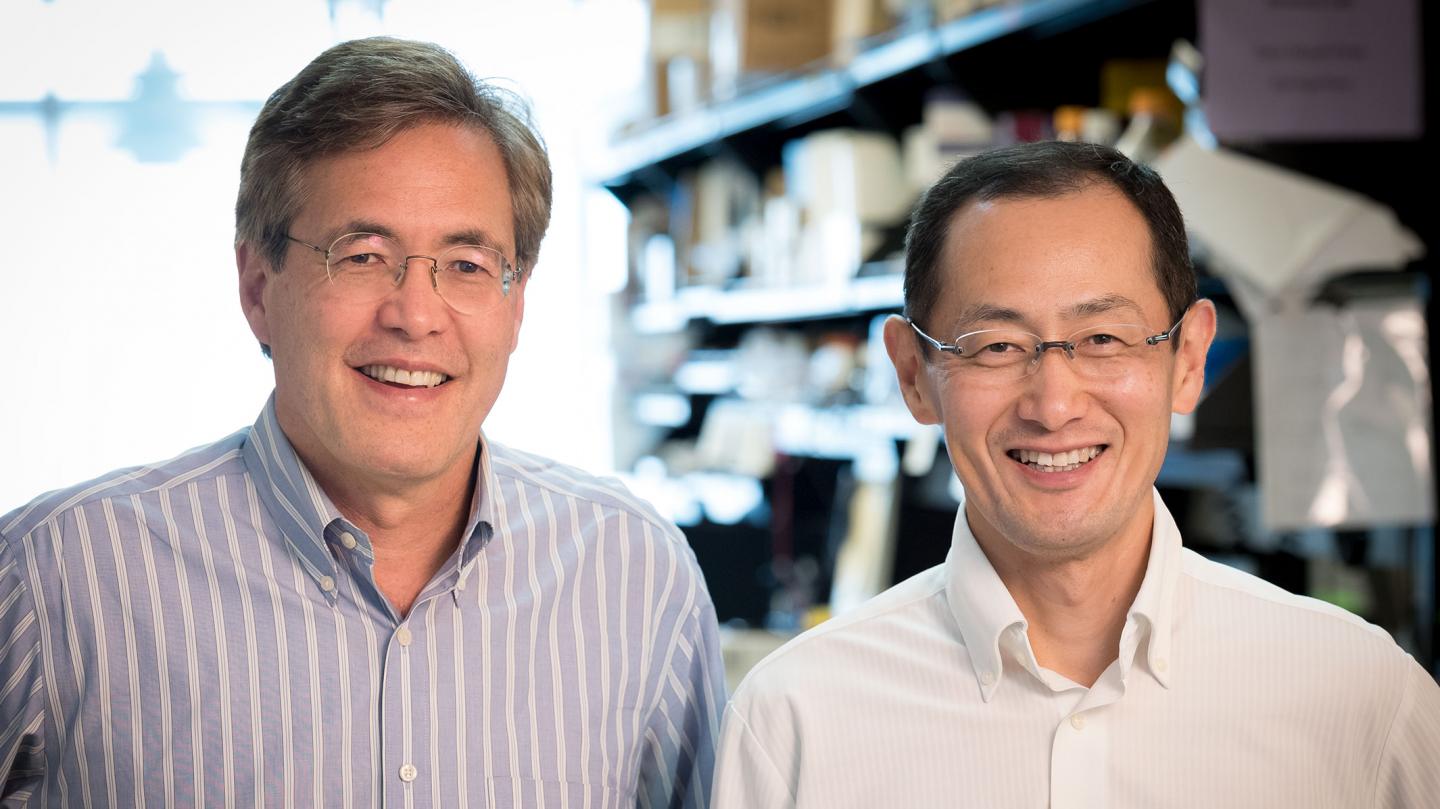 Bruce Conklin and Shinya Yamanaka, Gladstone Institutes