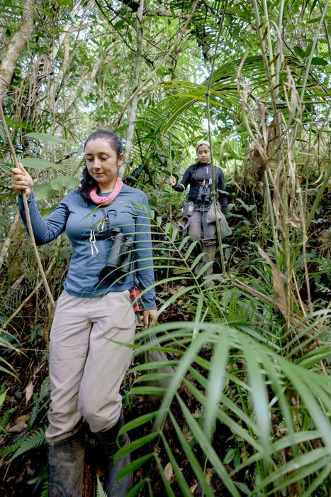 Researchers in the brush