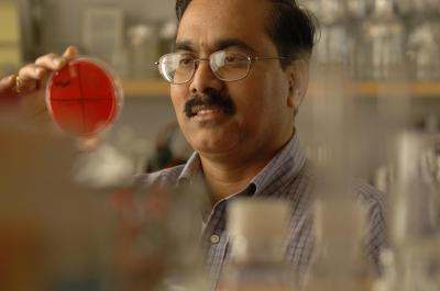 Prasadarao V. Nemani, Childrens Hospital Los Angeles