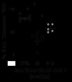 Time-dependent effects of previous SARS-CoV-2 infection