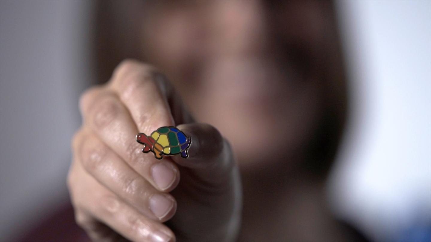 UMD Rainbow Terrapin