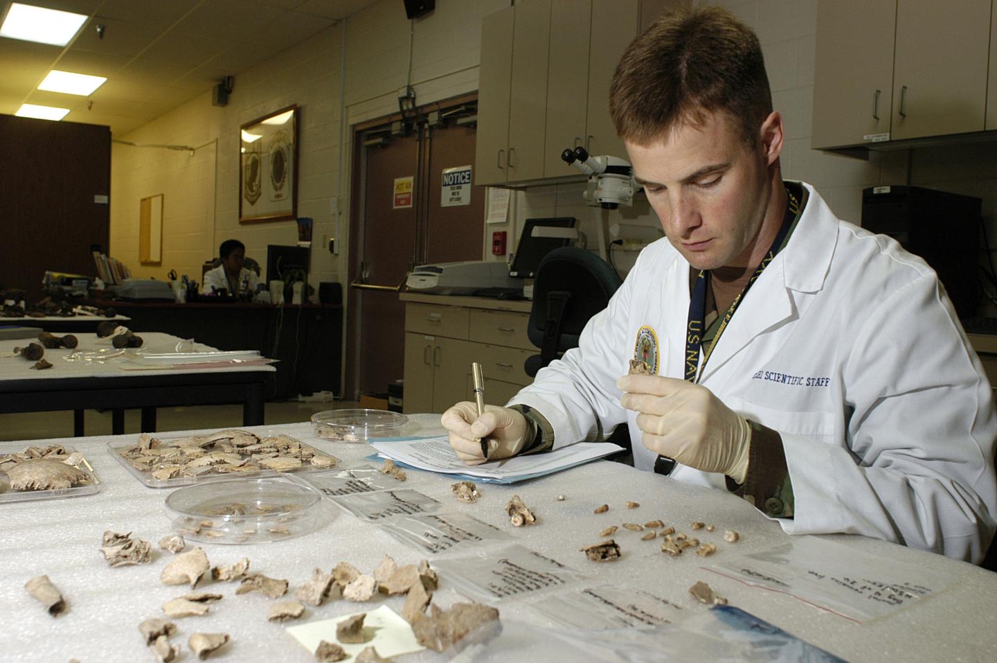 Dental Forensics [IMAGE] EurekAlert! Science News Releases