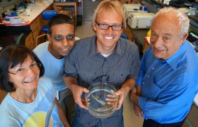 Mary Baum, Amitabh Ghoshal, Daniel G. DeMartini and Daniel E. Morse, UCSB