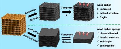 Maryland Engineers Create Durable Wood Carbon Sponge