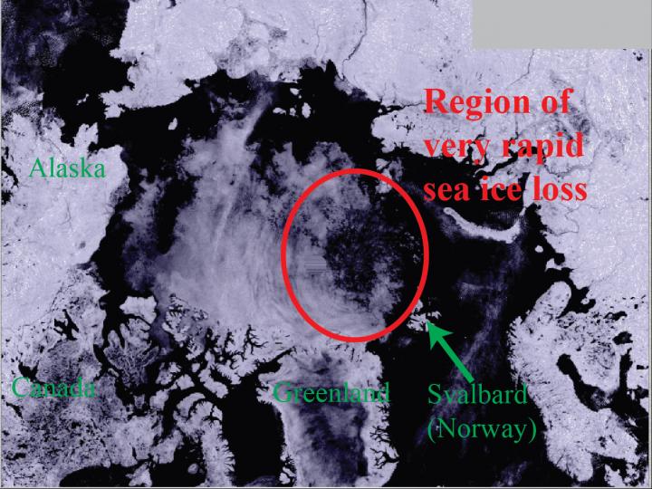 Satellite Image of Thinning Sea Ice in the Arctic