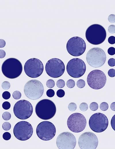 TAp73, a Structural Homologue of the Tumor Suppressor p53