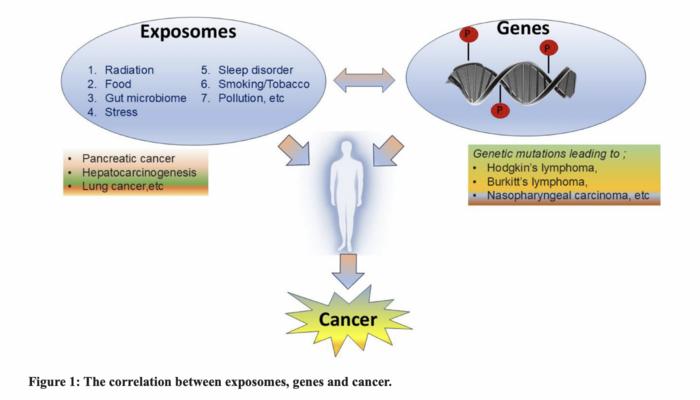 EXPOSOMES and GENES: The duo influencing CANCER initiation and progression