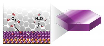 Schematic of Oxygen Reduction Reaction on Nano Plates