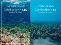 Calcification Comparison of One Tree Island to Lizard Island, Great Barrier Reef, Australia