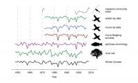 Biological Productivity Correlates to Winter Upwelling Strength