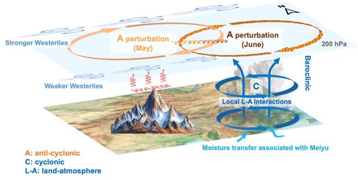 Mechanisms Schematic diagram