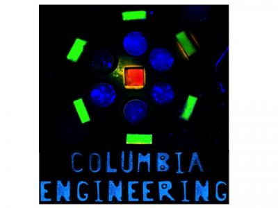 Shapes in Their Congruent Wells after Sorting