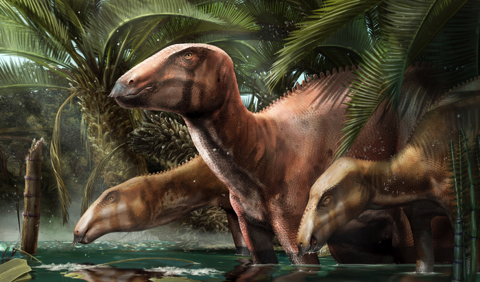 An adult and two juvenile individuals of the dinosaur Tethyshadros insularis