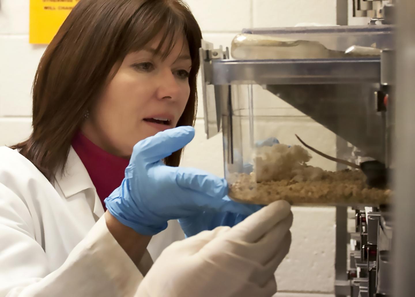 Shannon Kelleher, Penn State