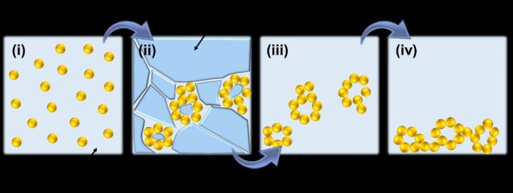 Schematic presentation