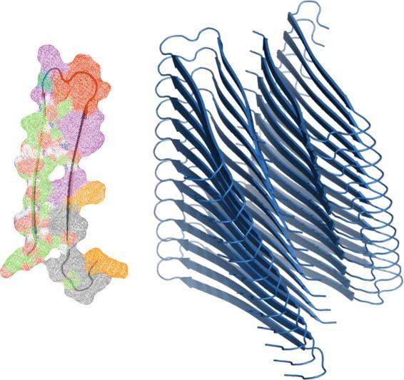Misfolded Proteins