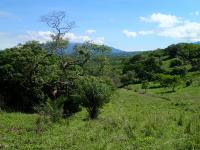 Costa Rican Forests and Farmlands