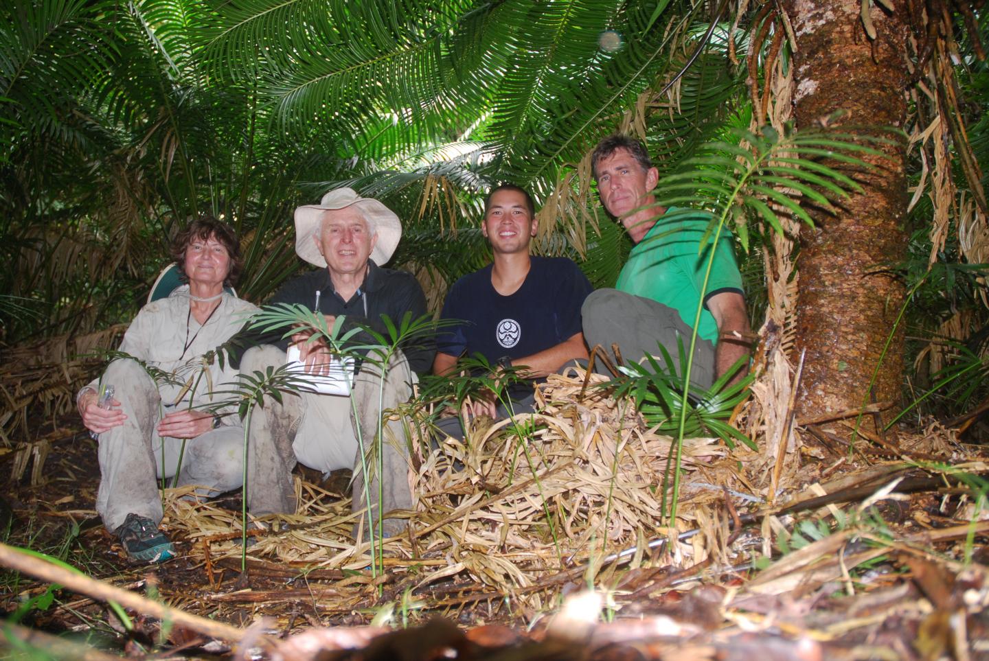 Guam Cycad Research Team in Yap, Micronesia