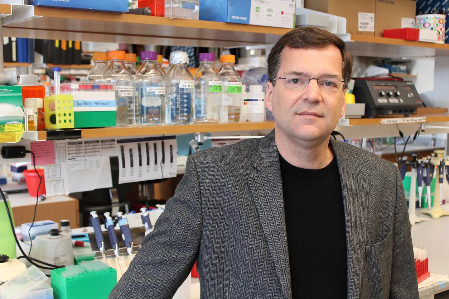 Erik J. Sontheimer, PhD, University of Massachusetts Medical School 